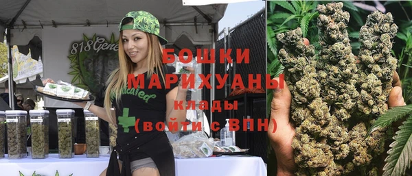 гидра Белокуриха
