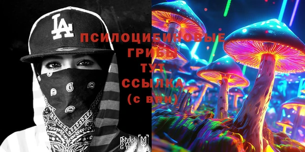 гидра Белокуриха