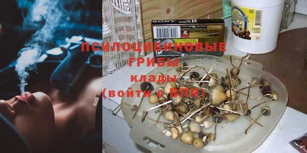 гидра Белокуриха