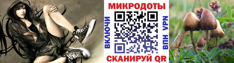 Галлюциногенные грибы Psilocybe  Купить закладки  Хабаровск 